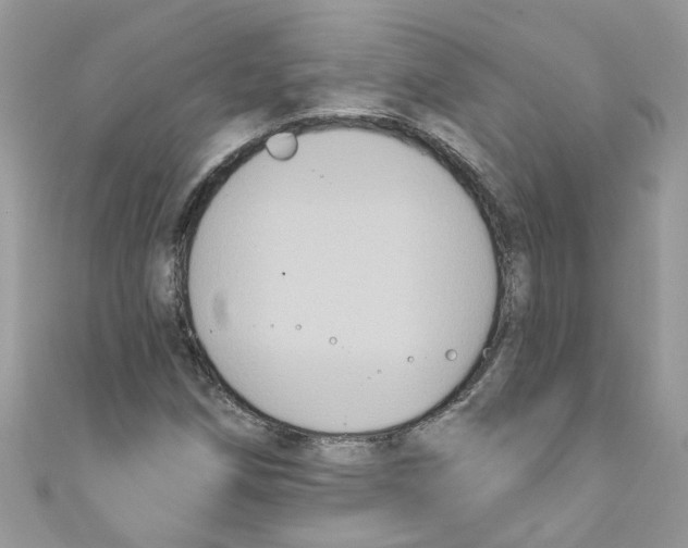 X0000111021258200907171848