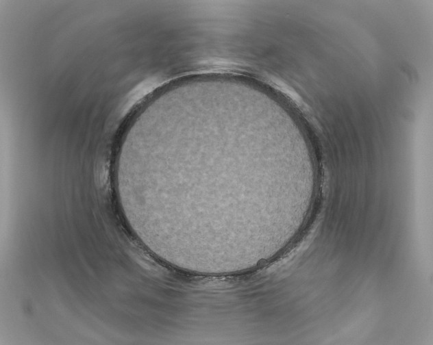 X0000111021259200907171848