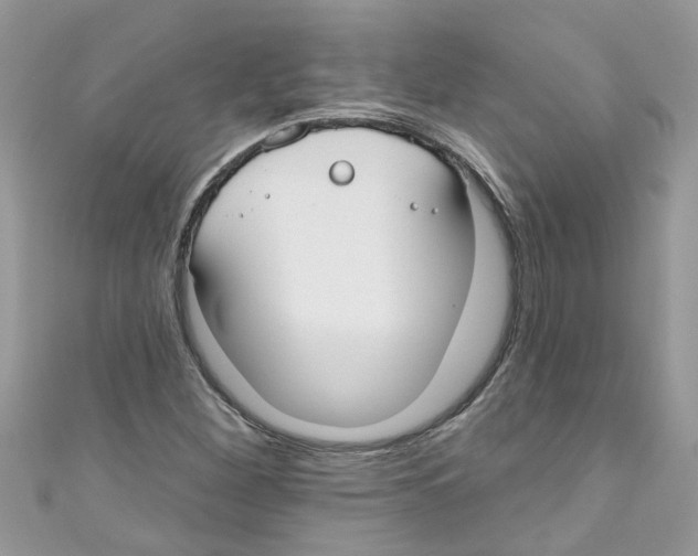 X0000111021260200907171848