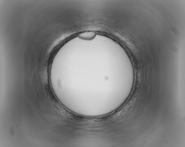 X0000111021262200907171848