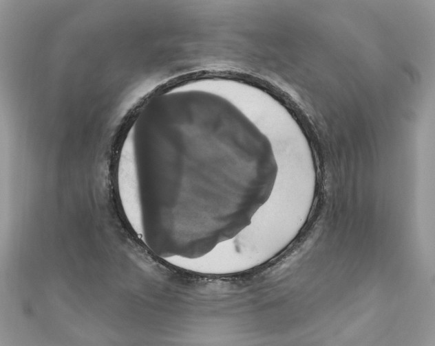 X0000111021263200907171848