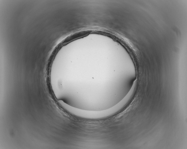 X0000111021264200907171848