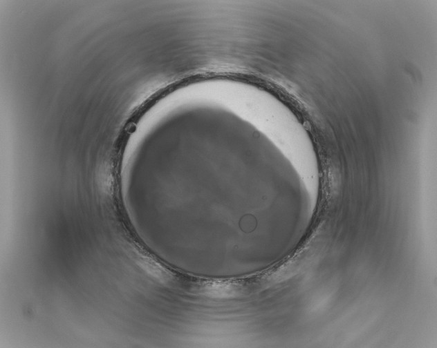 X0000111021266200907171848
