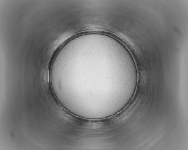 X0000111021269200907171848