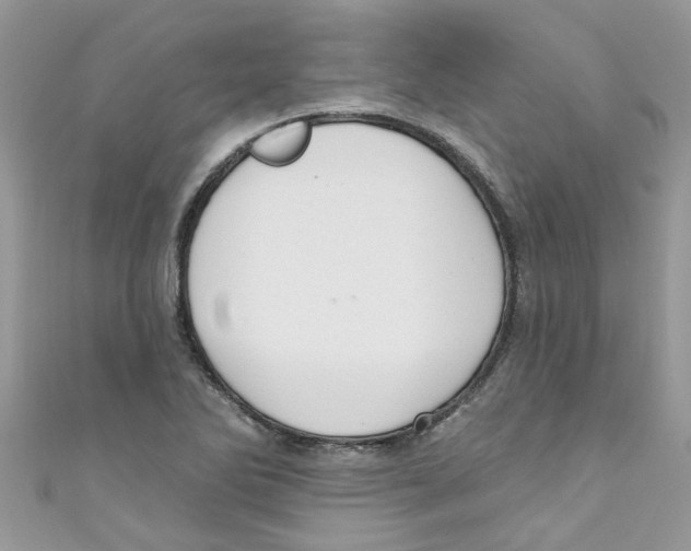 X0000111021270200907171848