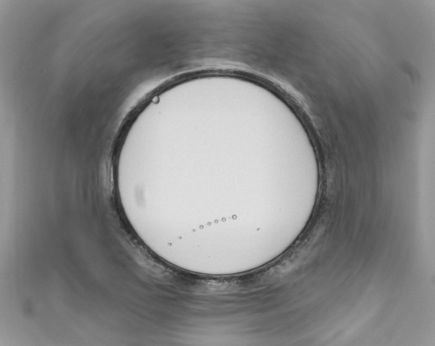 X0000111021271200907171848