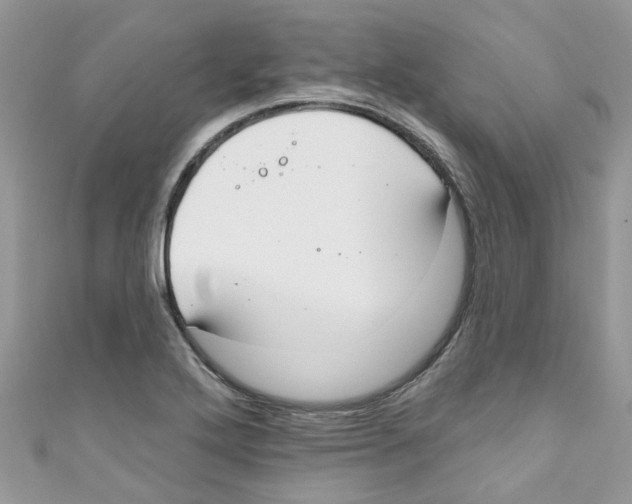 X0000111021272200907171848