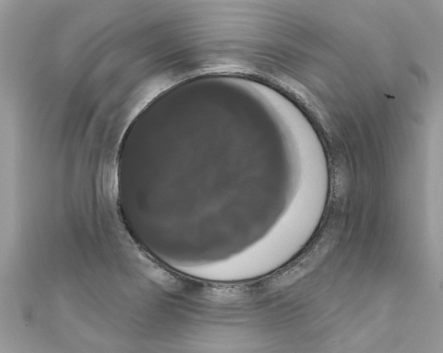 X0000111021274200907171847