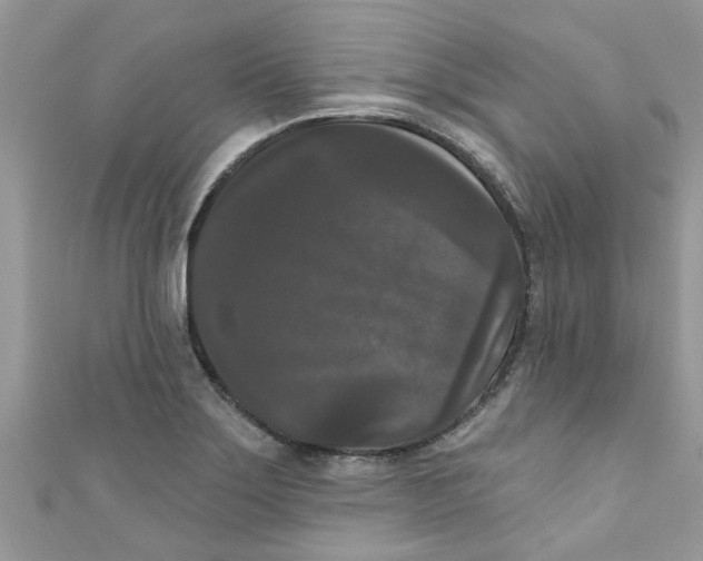 X0000111021275200907171847