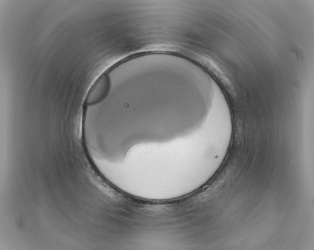 X0000111021276200907171847