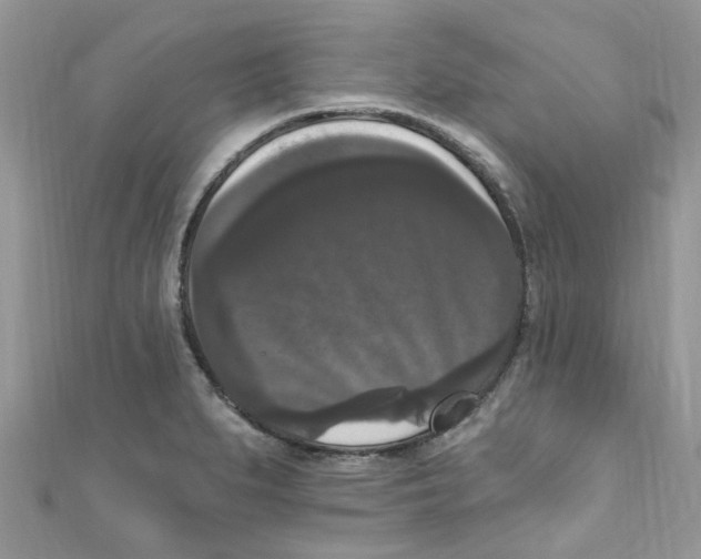 X0000111021279200907171847