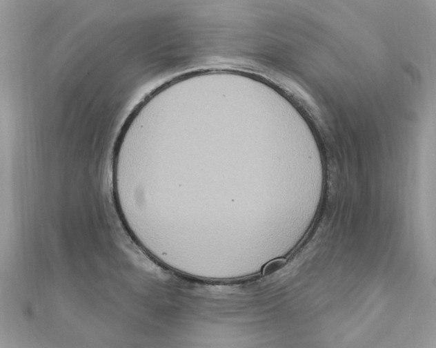X0000111021280200907171847