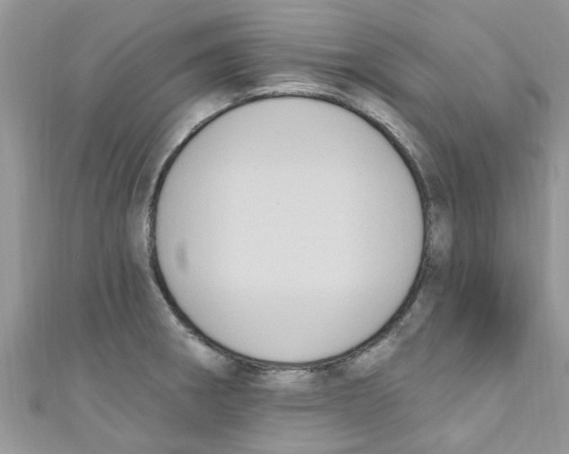 X0000111021282200907171847