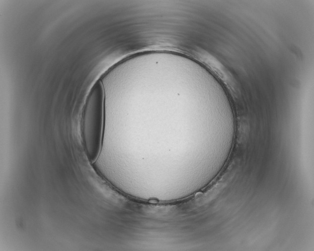 X0000111021284200907171847