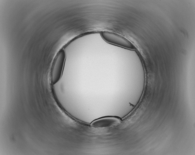 X0000111021285200907171847