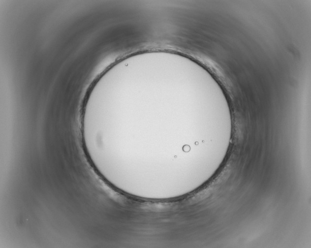 X0000111021286200907171847