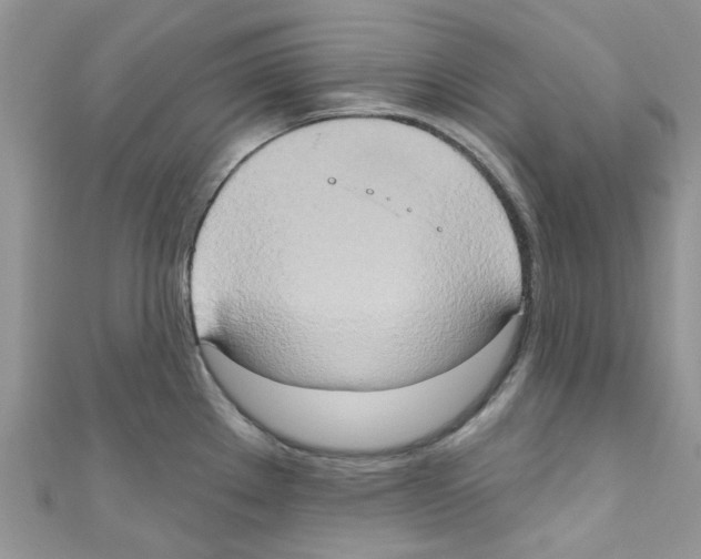 X0000111021289200907171847