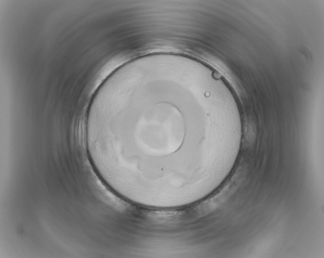 X0000111021290200907171847