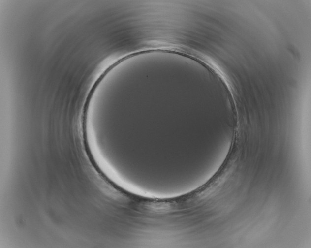 X0000111021291200907171847