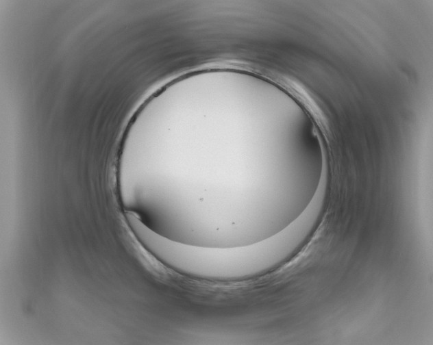 X0000111021292200907171847