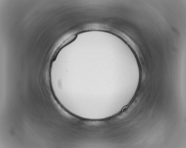 X0000111021293200907171847