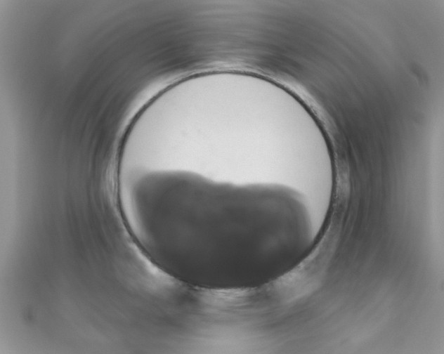 X0000111021294200907171847