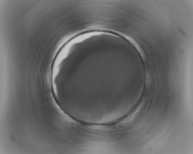 X0000111021295200907171847