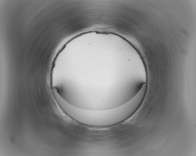 X0000111021296200907171847