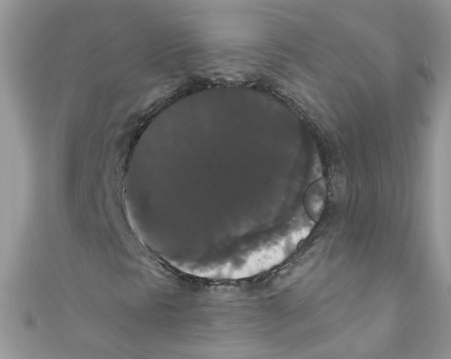 X0000111021297200907171846
