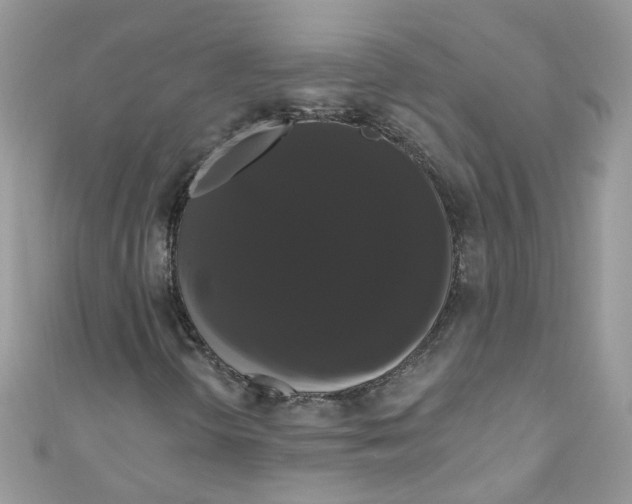 X0000111021298200907171846