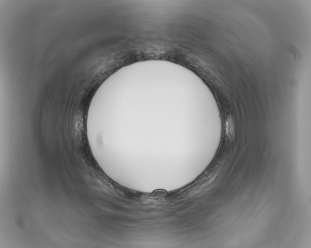X0000111021299200907171846