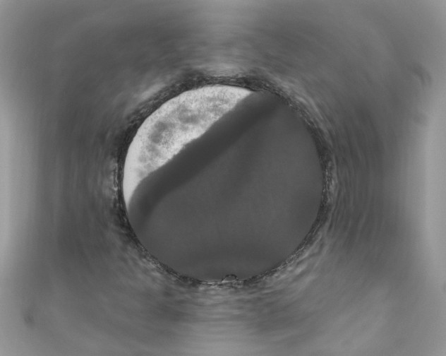 X0000111021301200907171846