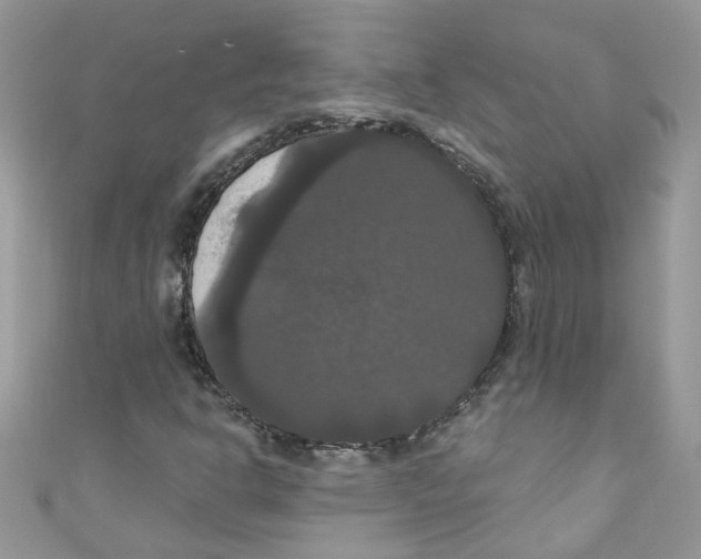 X0000111021302200907171846