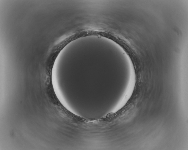 X0000111021303200907171847