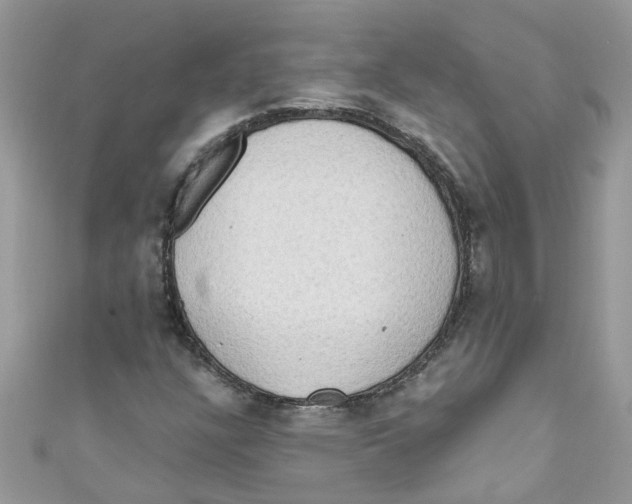 X0000111021304200907171847