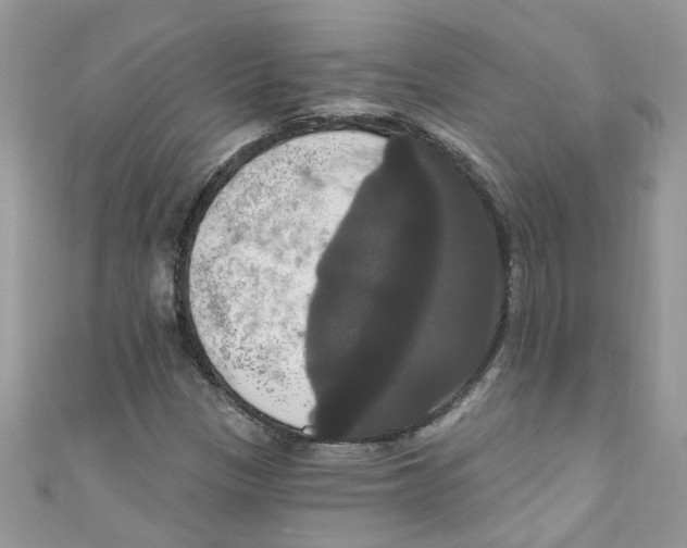 X0000111021305200907171847