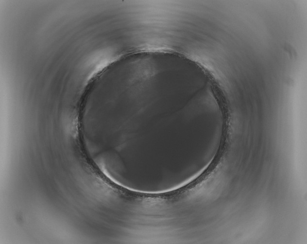 X0000111021306200907171847