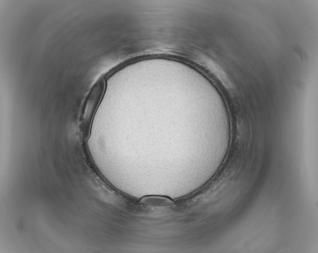 X0000111021308200907171847
