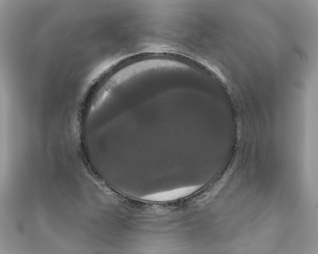 X0000111021311200907171847