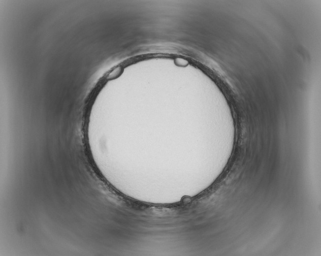 X0000111021312200907171847