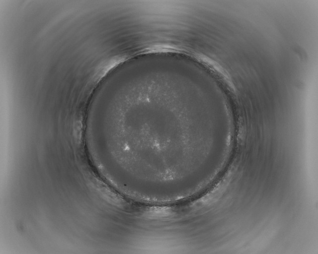 X0000111021313200907171847