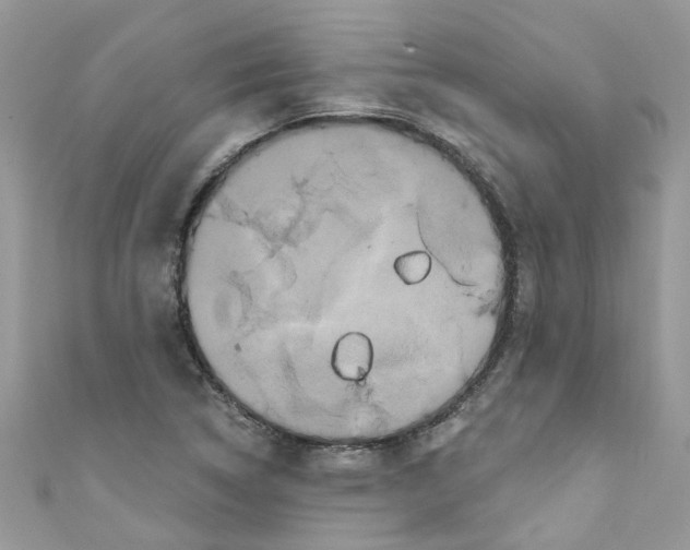 X0000111021314200907171847