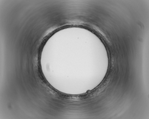 X0000111021315200907171847