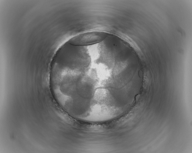 X0000111021316200907171847
