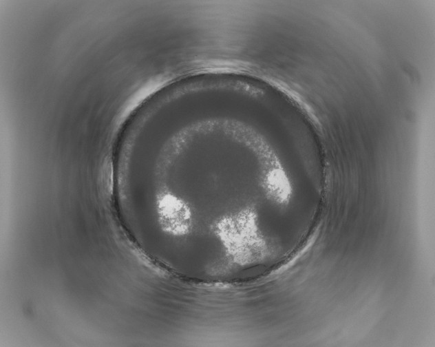 X0000111021317200907171847