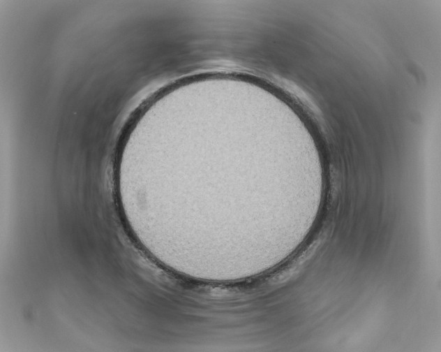 X0000111021318200907171847