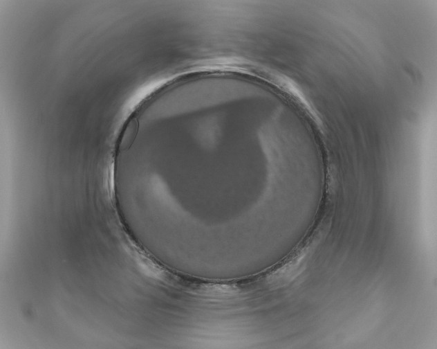 X0000111021320200907171847