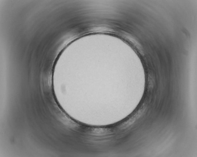 X0000111021322200907171847