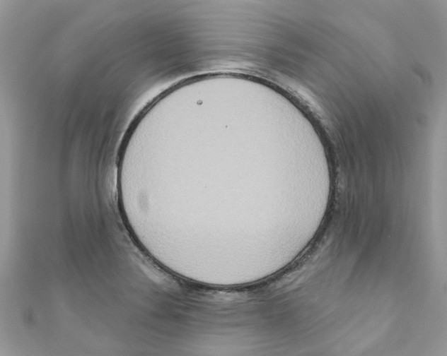 X0000111021324200907171847