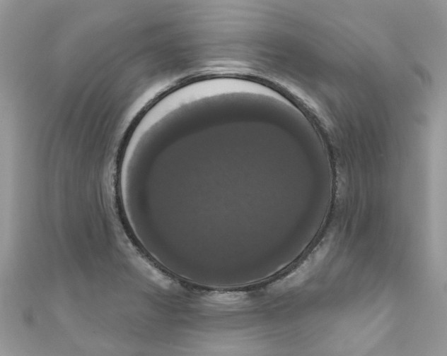 X0000111021325200907171847